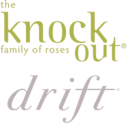 Knock Out Drift Roses logo