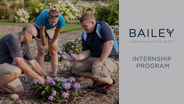 Internships at Bailey Nurseries