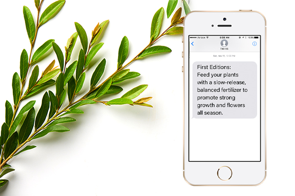 http://First%20Editions%20plant%20care%20text%20program%20for%20gardeners