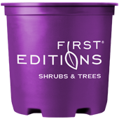 First Editions® Plants Container