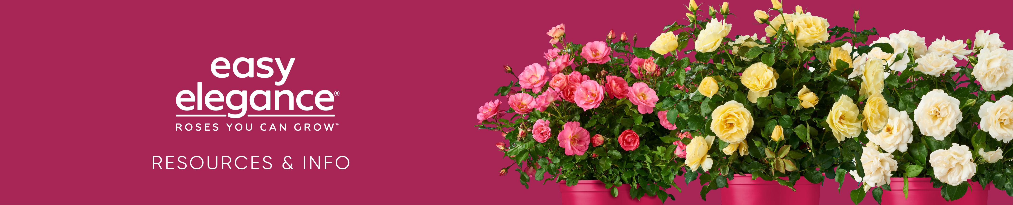 Easy Elegance Resource Header image