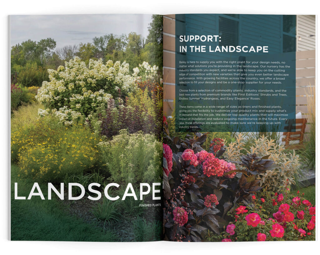 New Bailey Nurseries Catalog for 2025 Bailey Nurseries