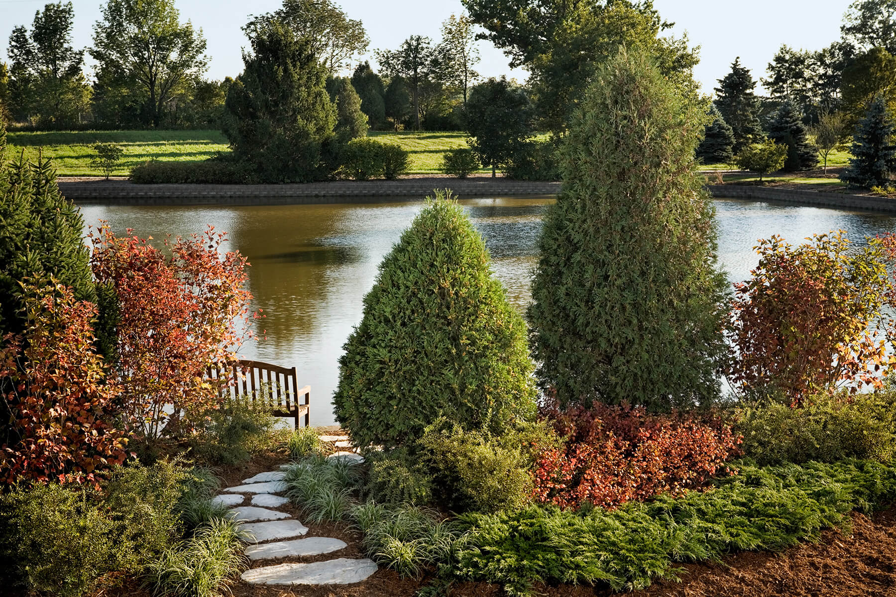 Backbone of the Landscape: Arborvitae