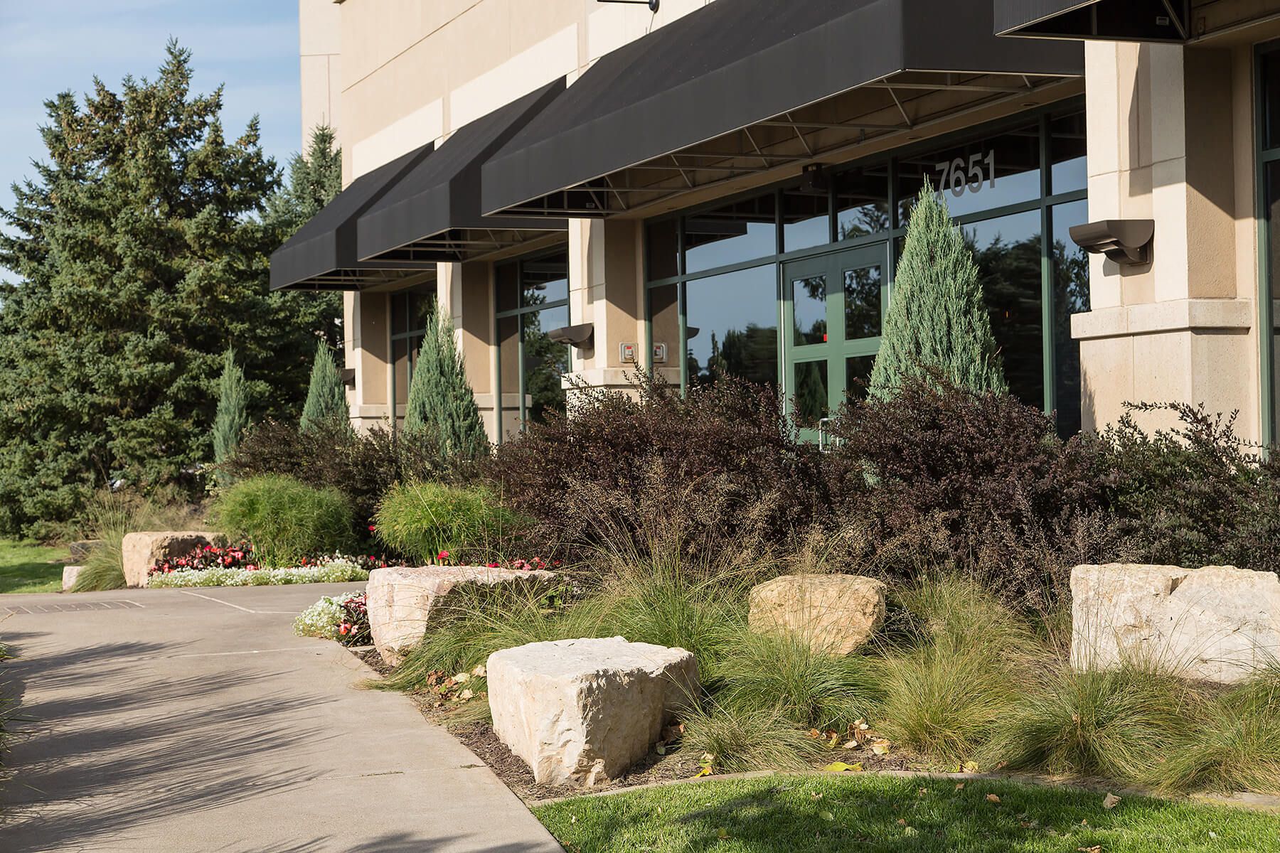 Commercial building landscape featuring Little Devil ninebark, Physocarpus opulifolius plant.