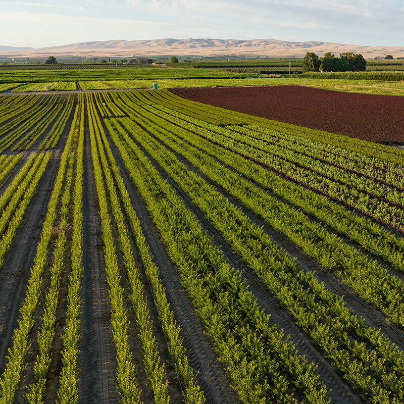http://Bailey%20Sunnyside%20Farm%20Location