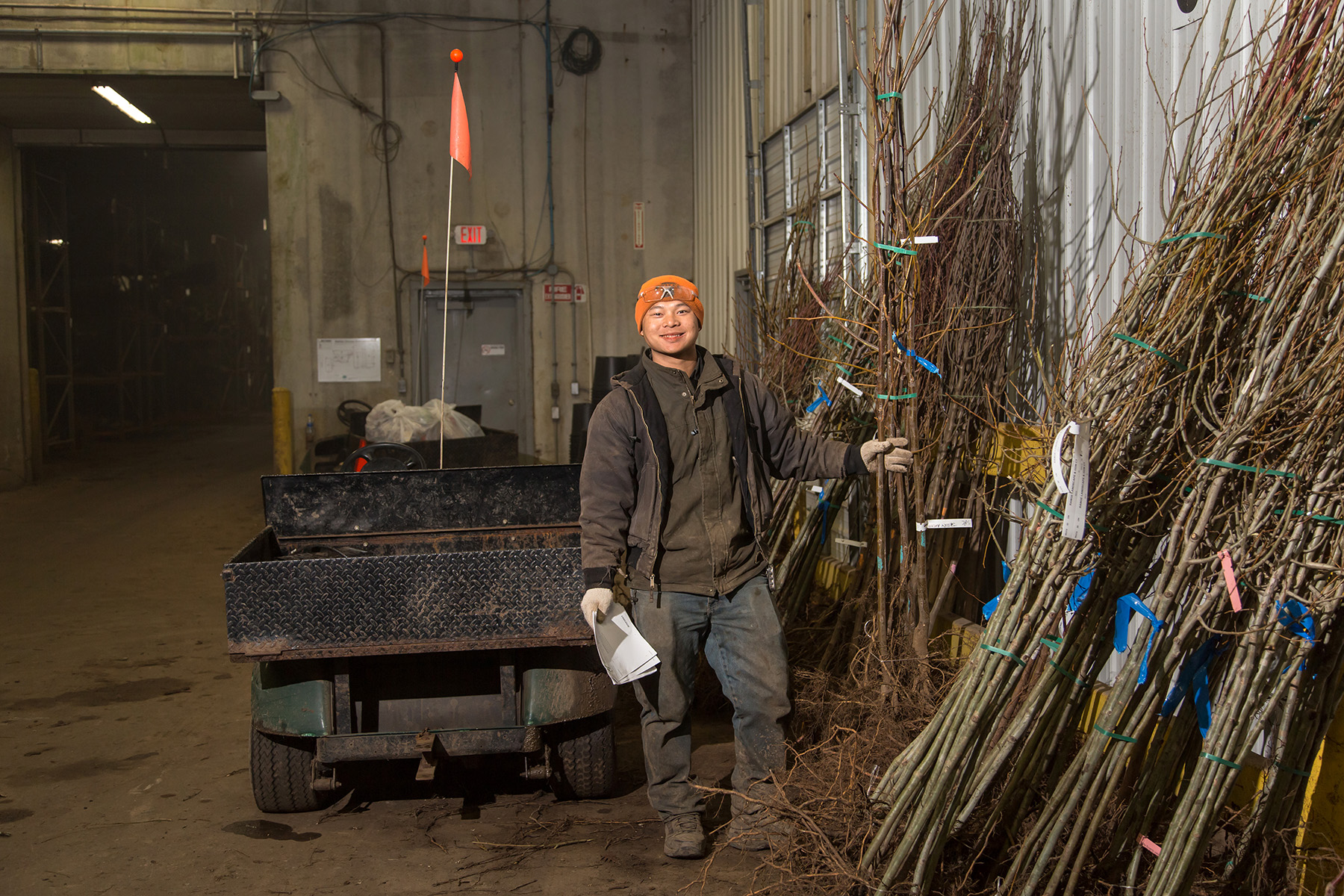 Pulling orders of bareroot trees.