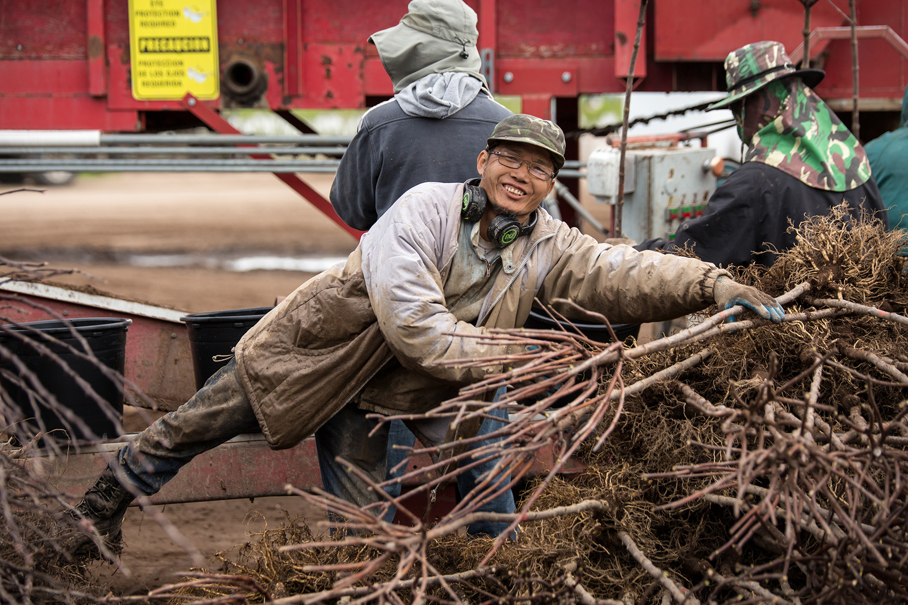 Handling bareroot trees