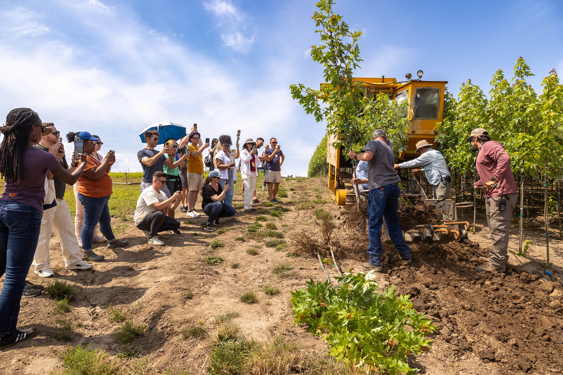 The Dawn of Creators in the Horticulture Industry