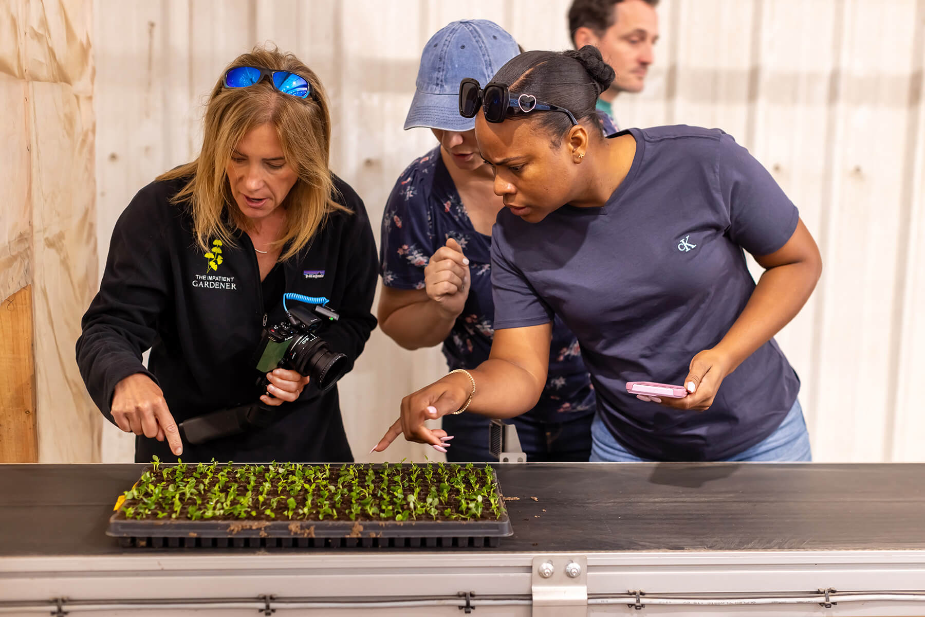 Creators looking over a plug tray