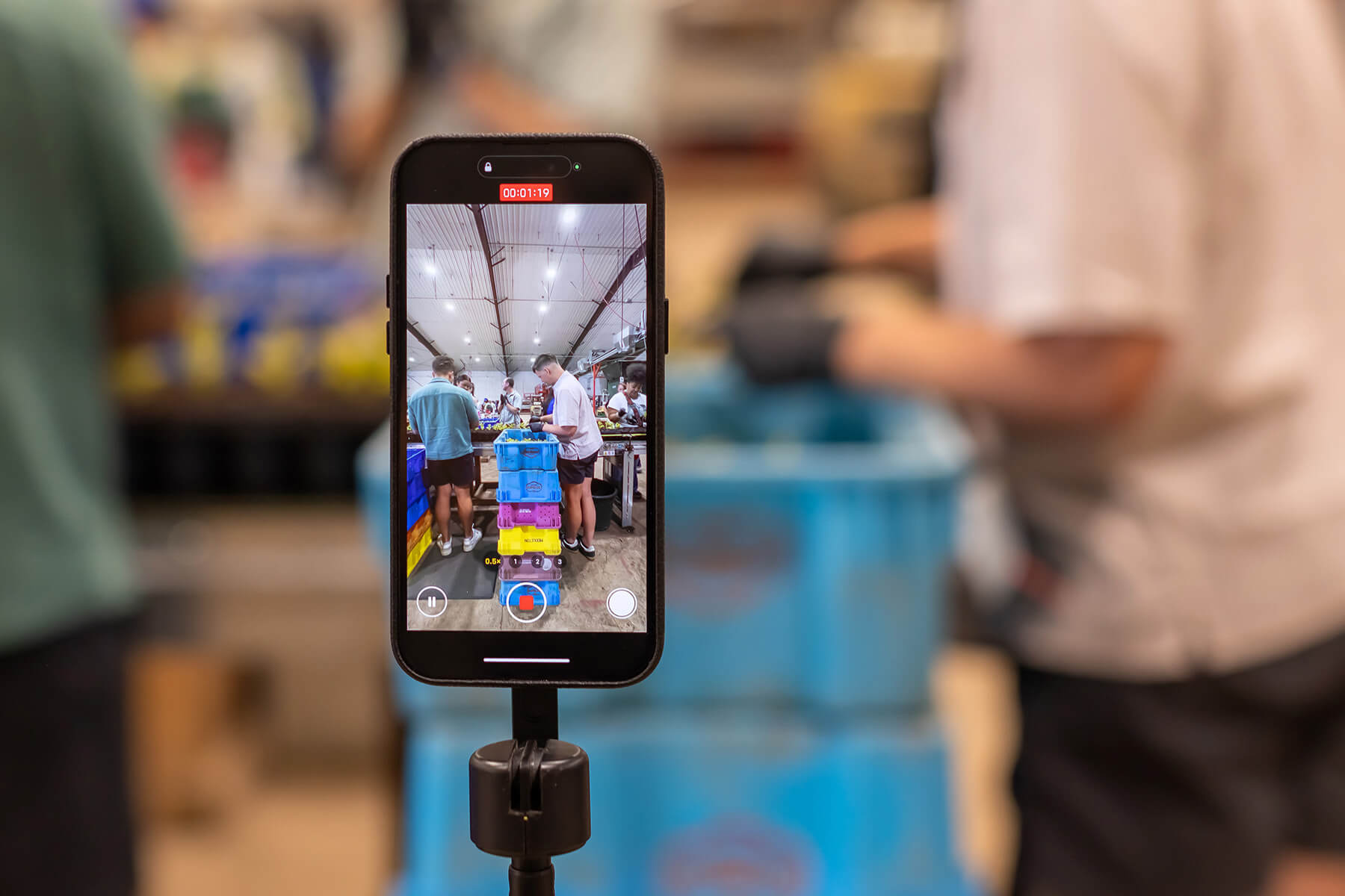 Phone on a tripod taking video.