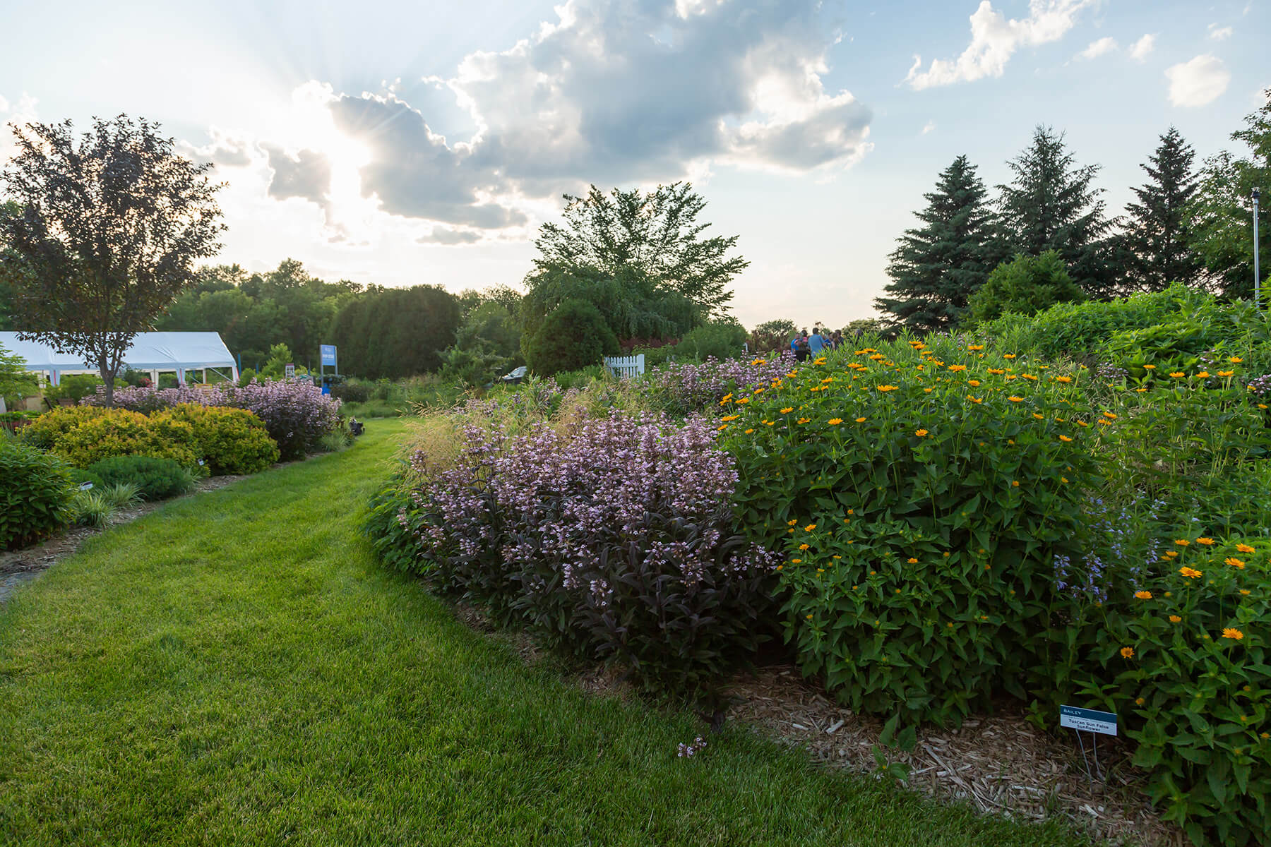 Display Garden