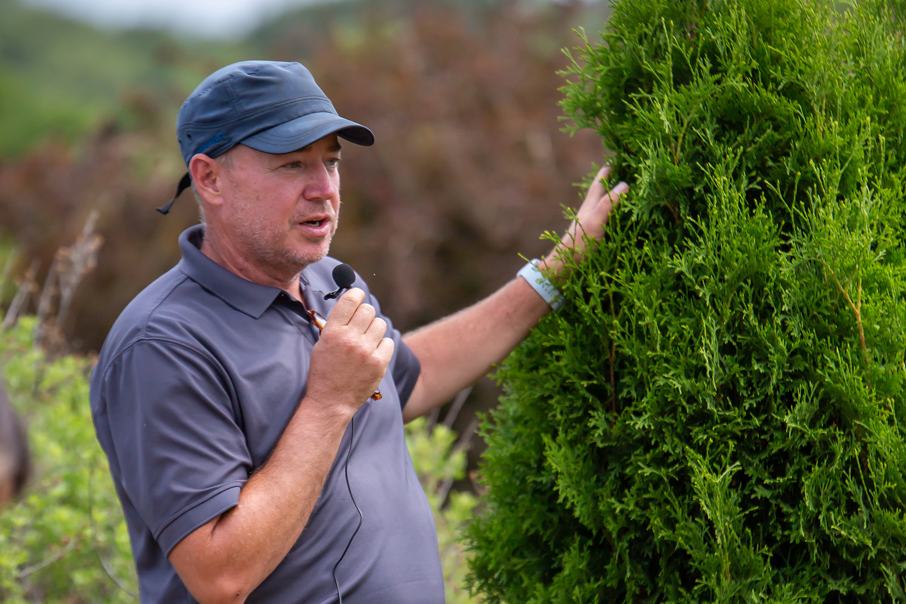Discussing shrubs in the garden.