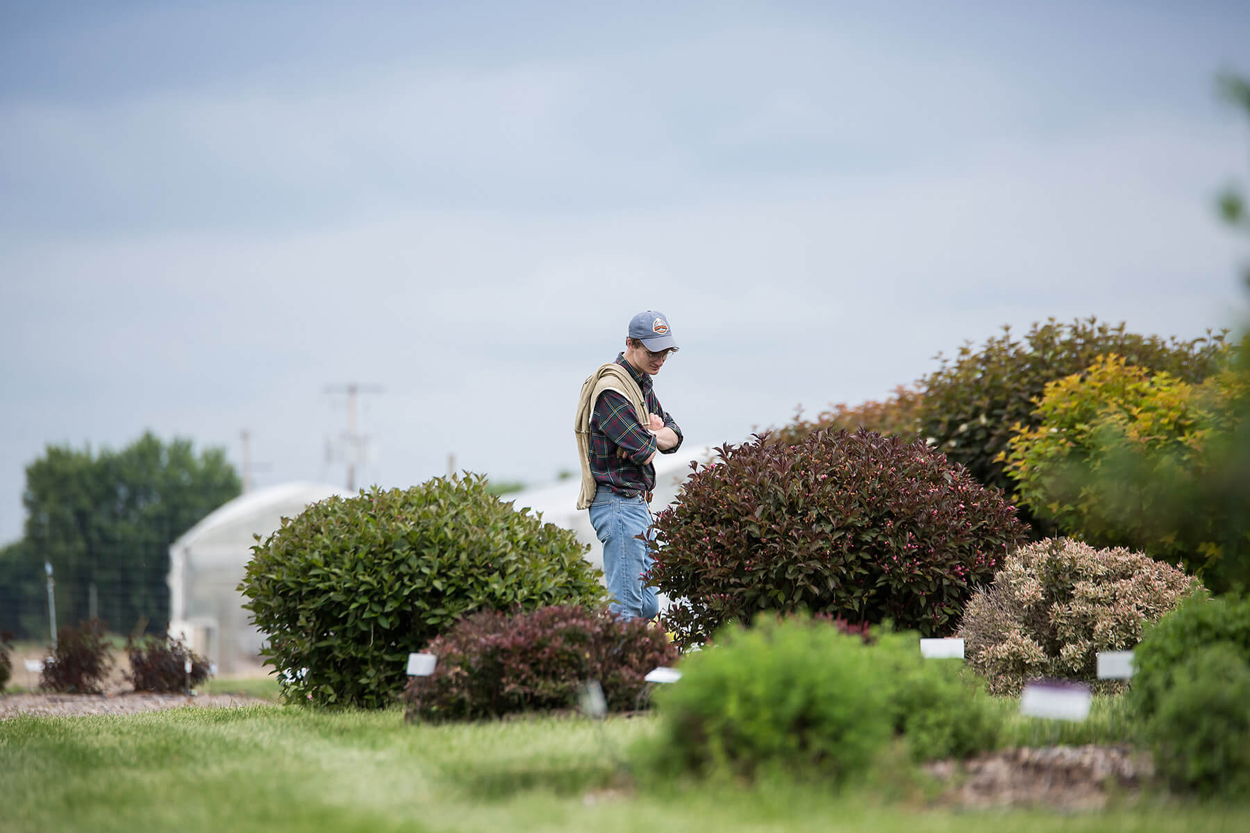 The Importance of Trial Gardens