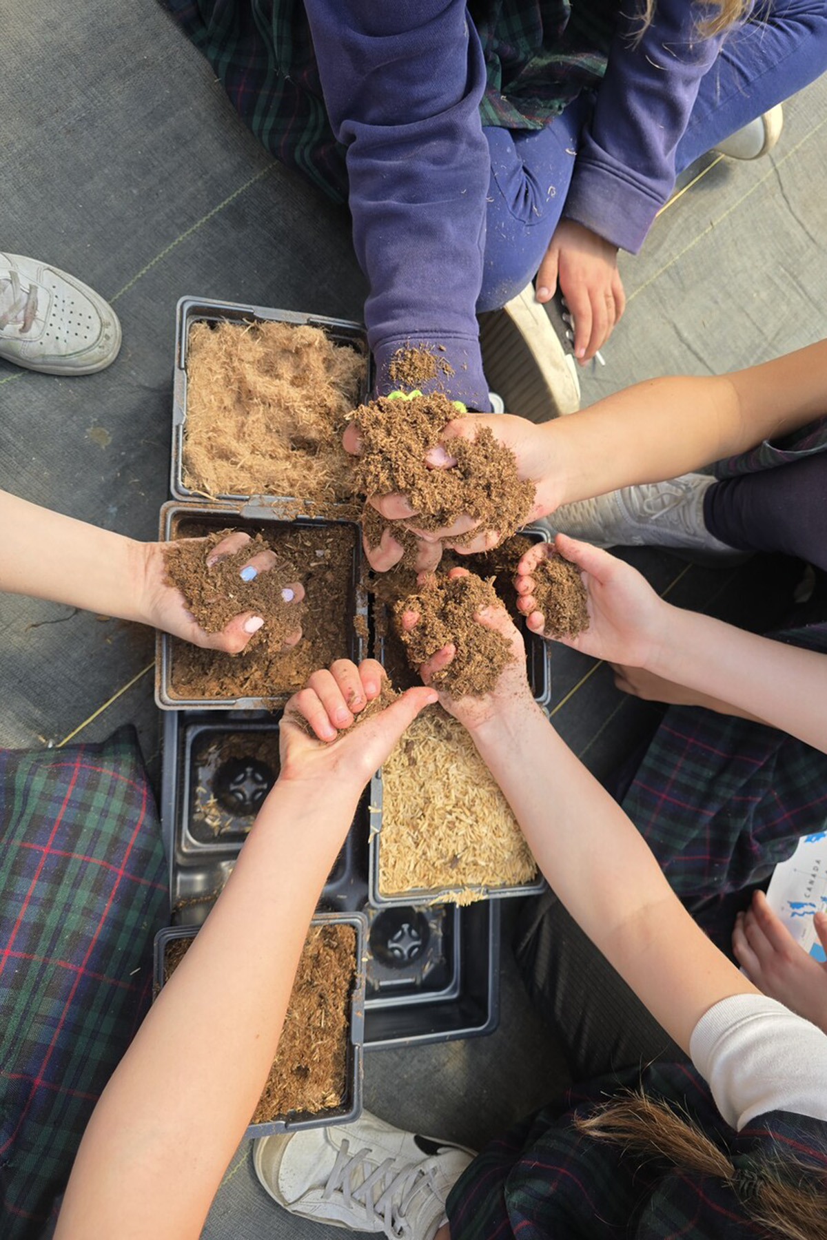 Gardening Through Generations: Influence of Horticulture on Younger Generations