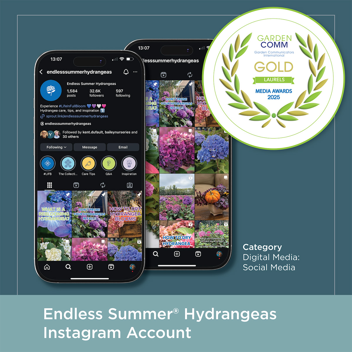 Mobile phones displaying the Endless Summer® Hydrangeas Instagram account that received a Gold Medal for social media excellence.