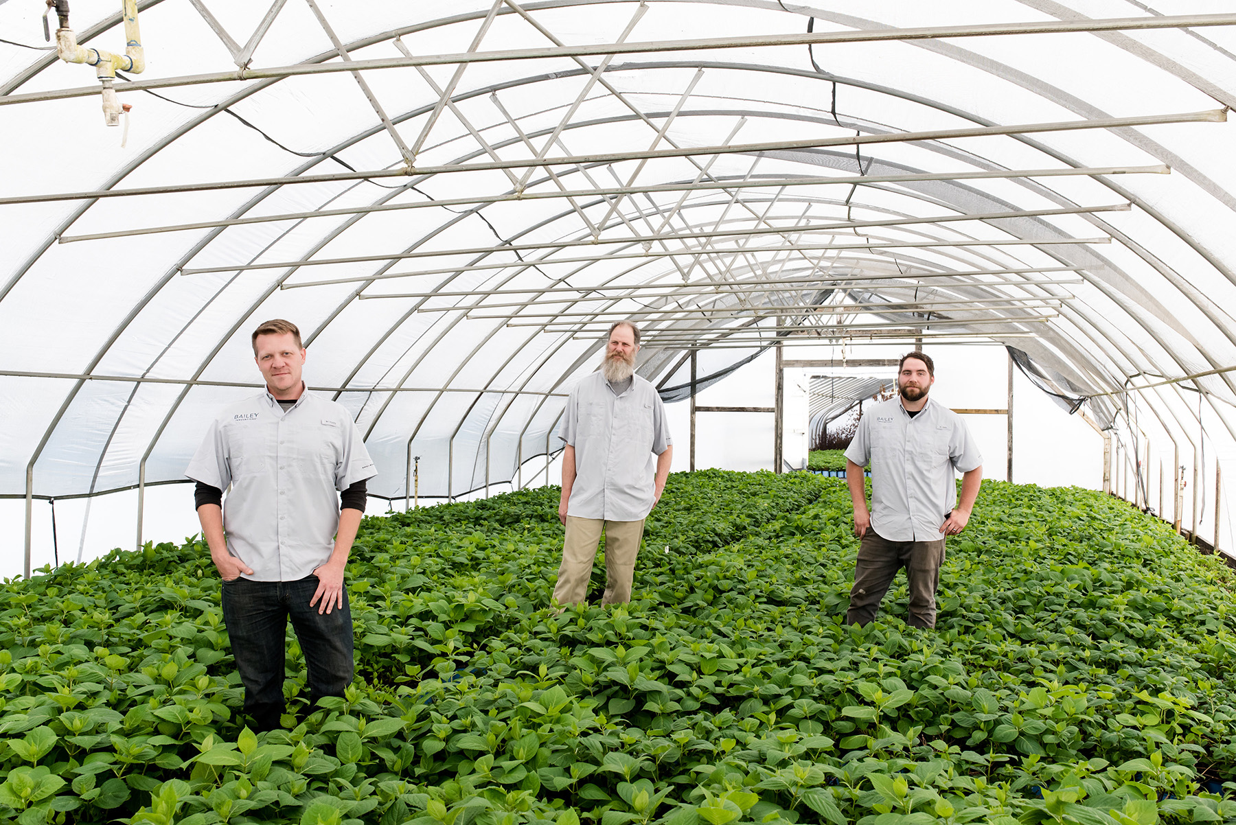 Innovating the Future: How Bailey’s Breeding Team is Shaping Tomorrow’s Gardens