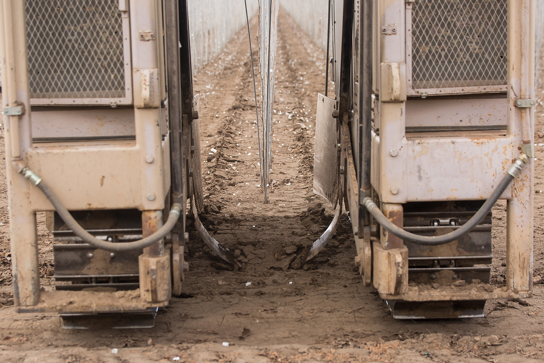 Undercutting is a Crucial Step in Producing High-Performing Trees