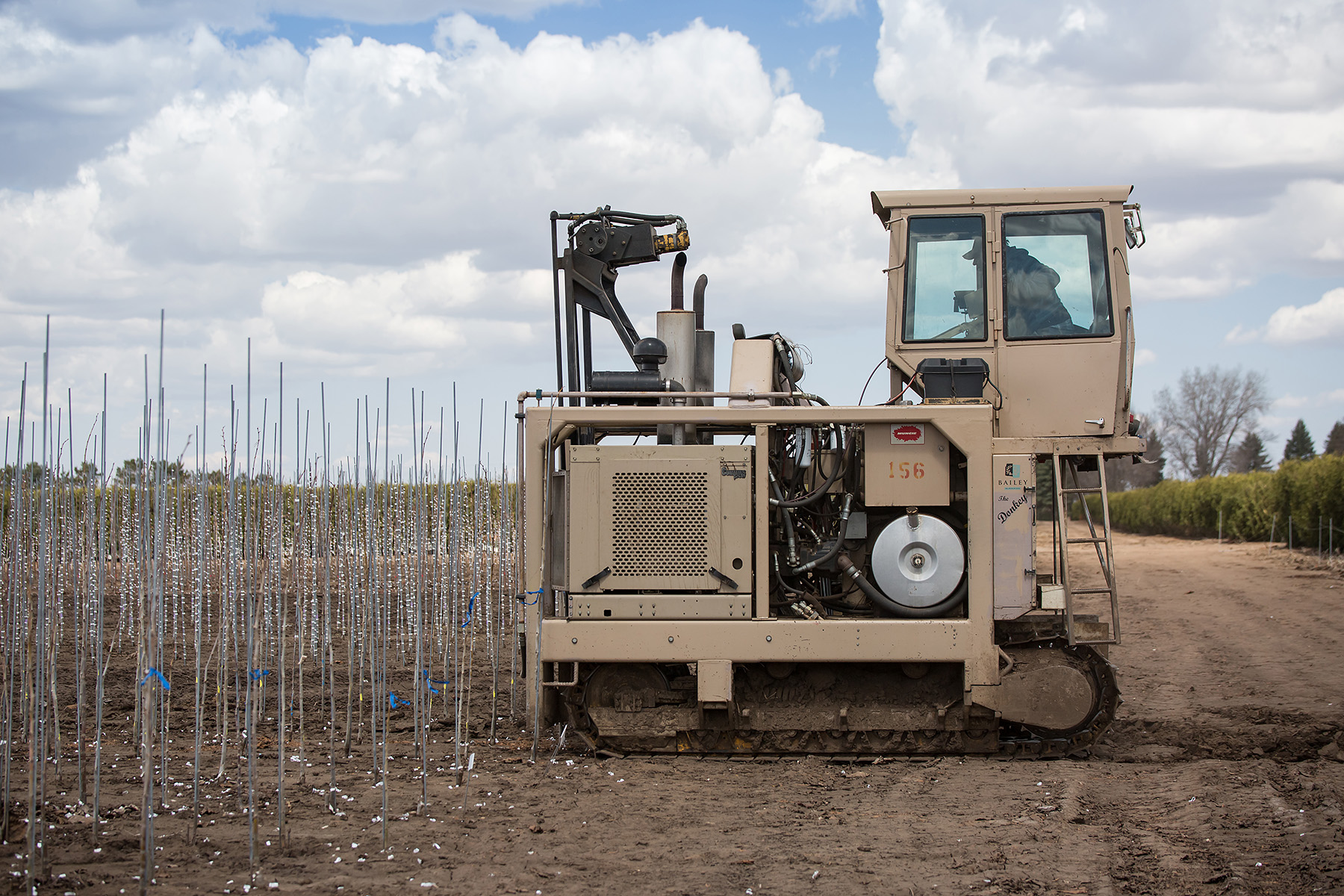 Side profile of an undercutting machine starting a new row of young trees in the field.