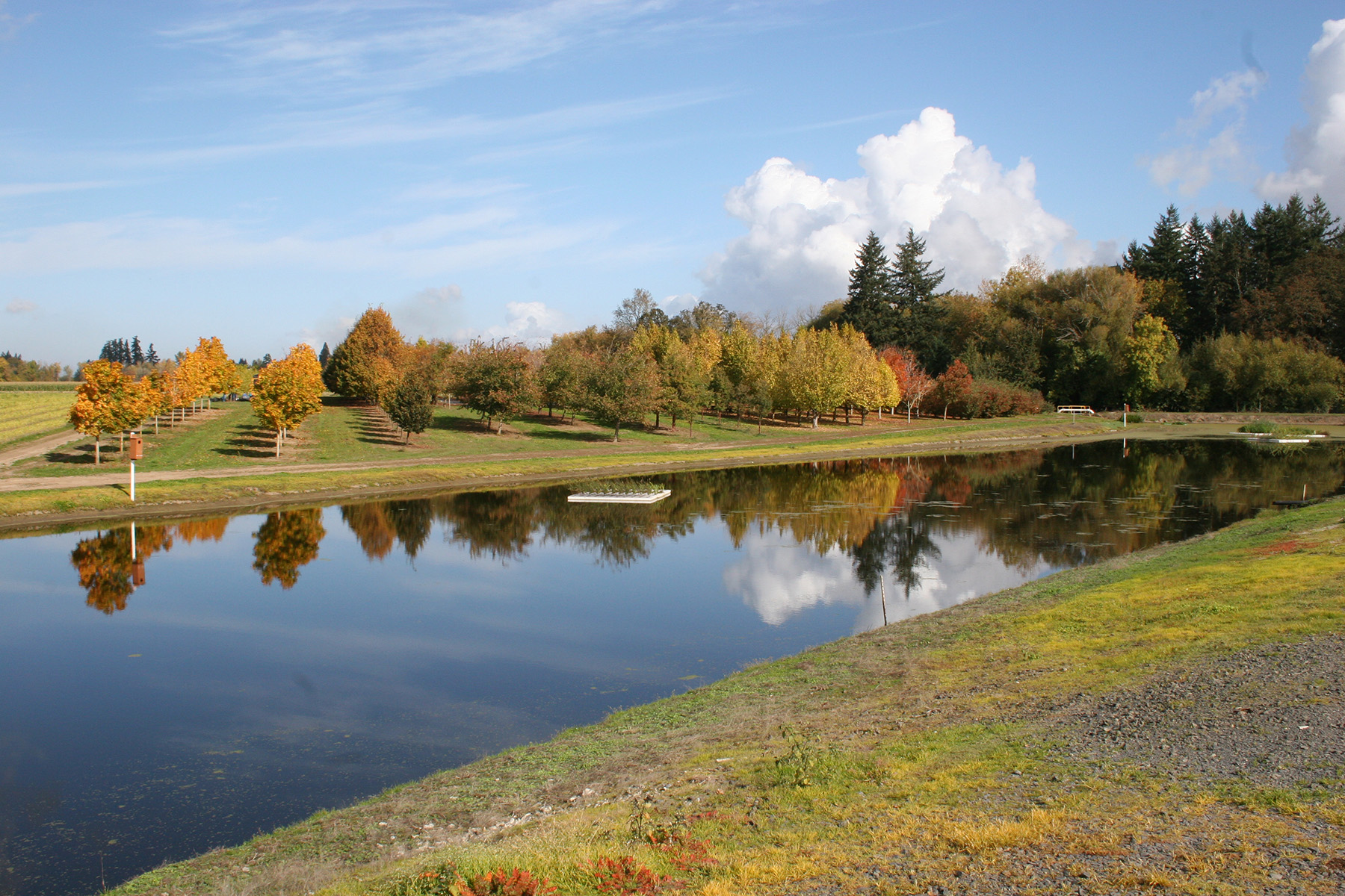 Waterway Planting Project in Georgia