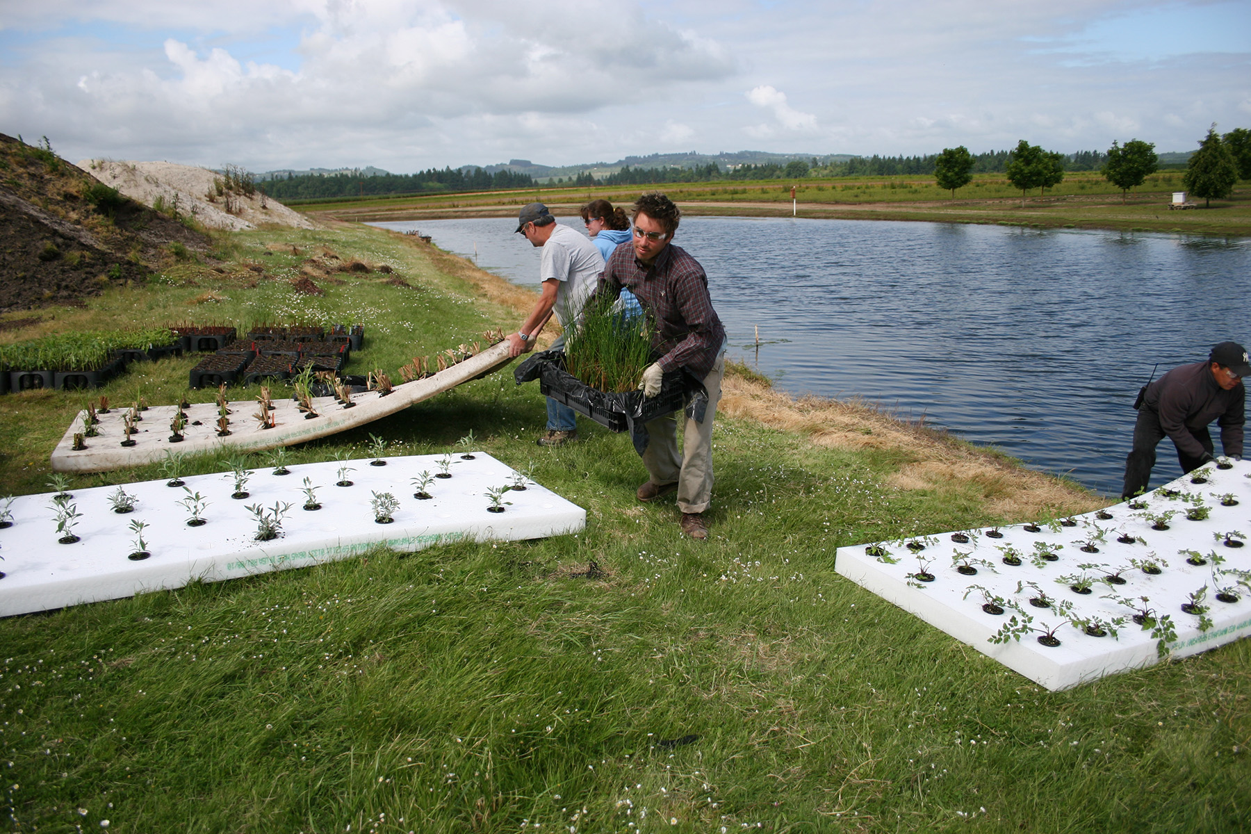 Team members assembling and positioning floating planting rafts along the edge of the irrigation pond.