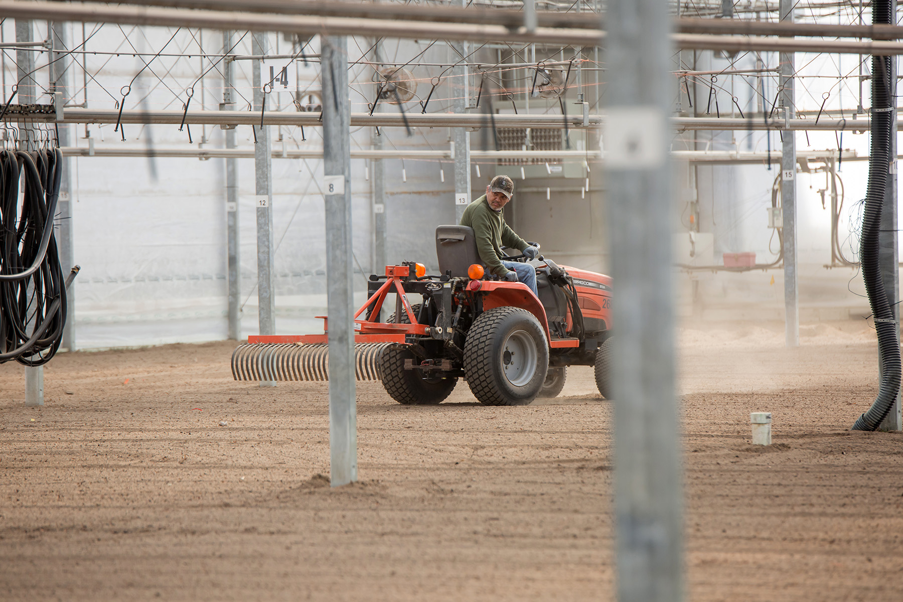 A Bailey Nurseries team member drives a tractor inside a greenhouse to prepare sand beds for winter production.